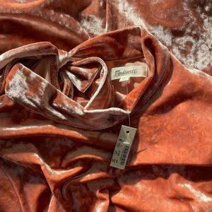 Madewell Velvet Dress